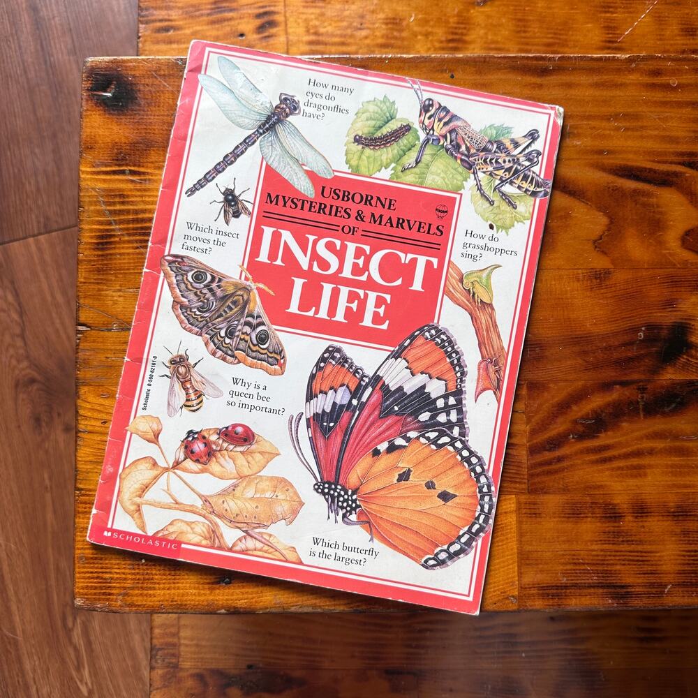 Vintage 1984 Usborne Mysteries & Marvels Of Insect Life Paperback Book